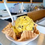 Scoops In Bellevue