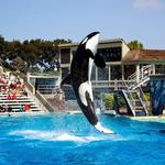 SeaWorld San Diego