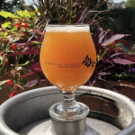 Stubborn Beauty Brewing Company