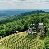 Fainting Goat Vineyards
