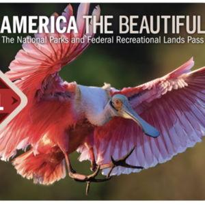 Annual National Parks Pass