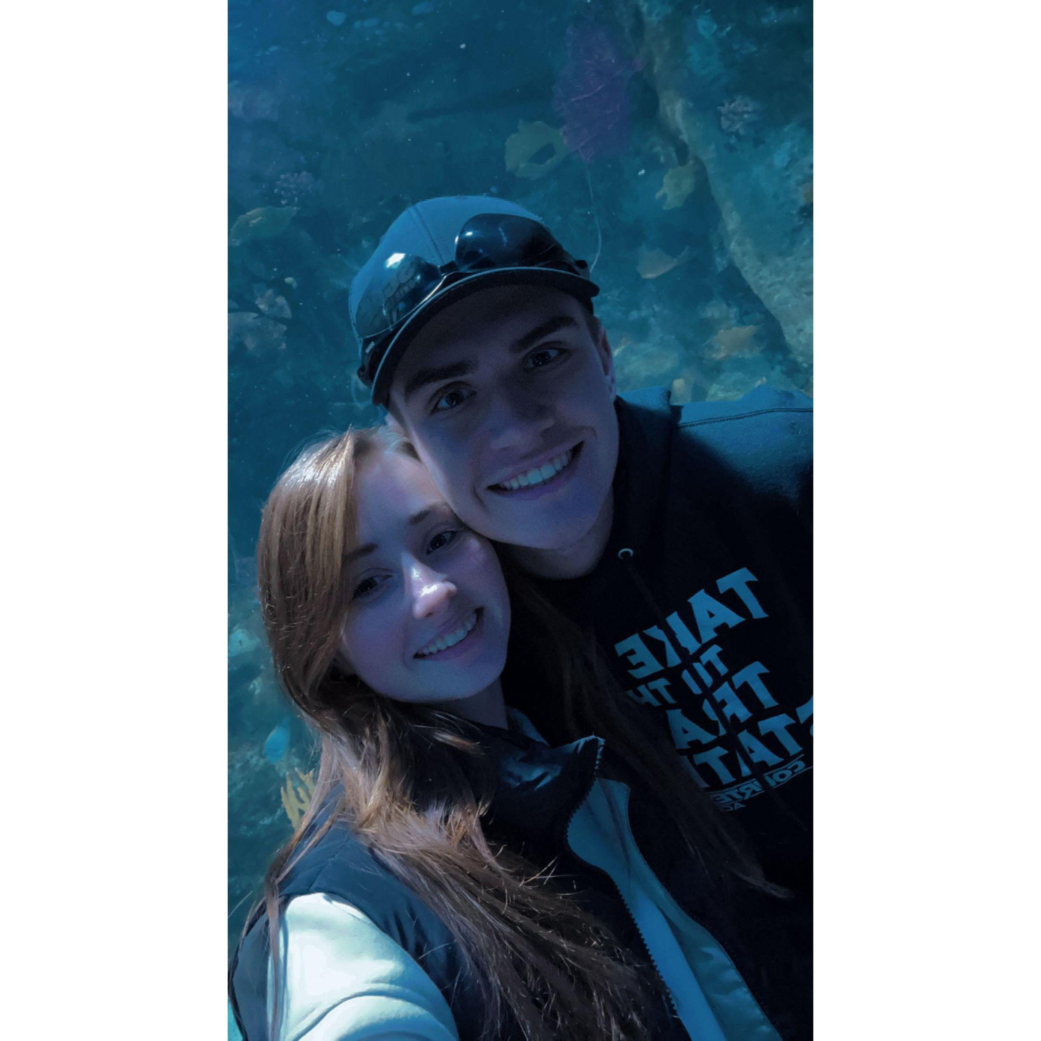 Date to the aquarium