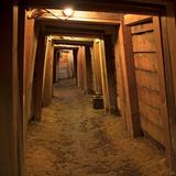 Ponderosa Mine Tour