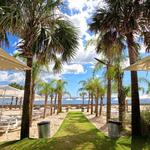 The Gulf - Orange Beach