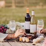 Lots of great wineries and vinyards