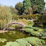 The Huntington Library, Art Museum, and Botanical Gardens
