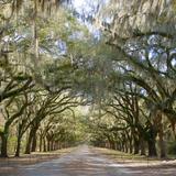 Wormsloe State Historic Site