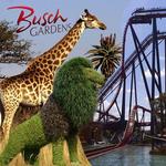 Busch Gardens Tampa Bay