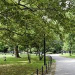 McCarren Park