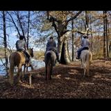 Lake Meadow Farm & Stables