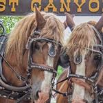 Lost Canyon Tours