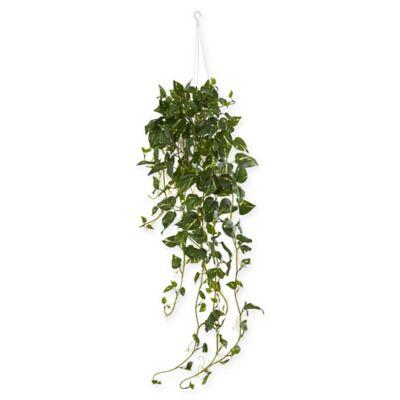 Nearly Natural 40-Inch Pothos Artificial Plant in White Basket