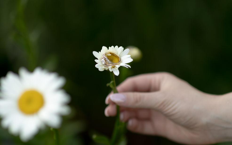 The Wedding Website of McKayla Larkin and Austin Grega