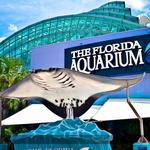 The Florida Aquarium