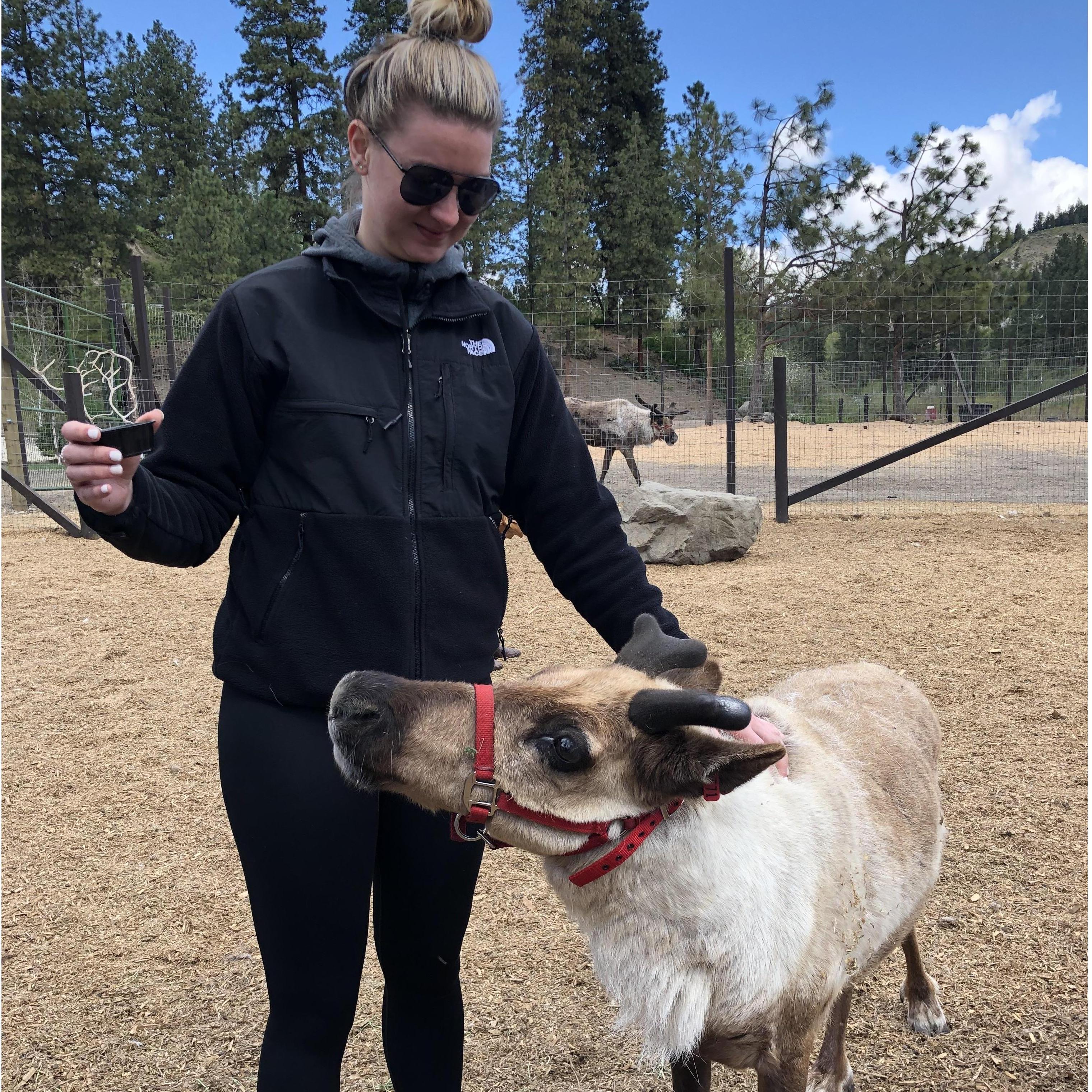 Our trip to Leavenworth, WA and a Reindeer farm!