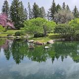 Nikka Yuko Japanese Garden