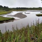 Sitka Sedge State Natural Area