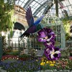 Bellagio Conservatory & Botanical Gardens
