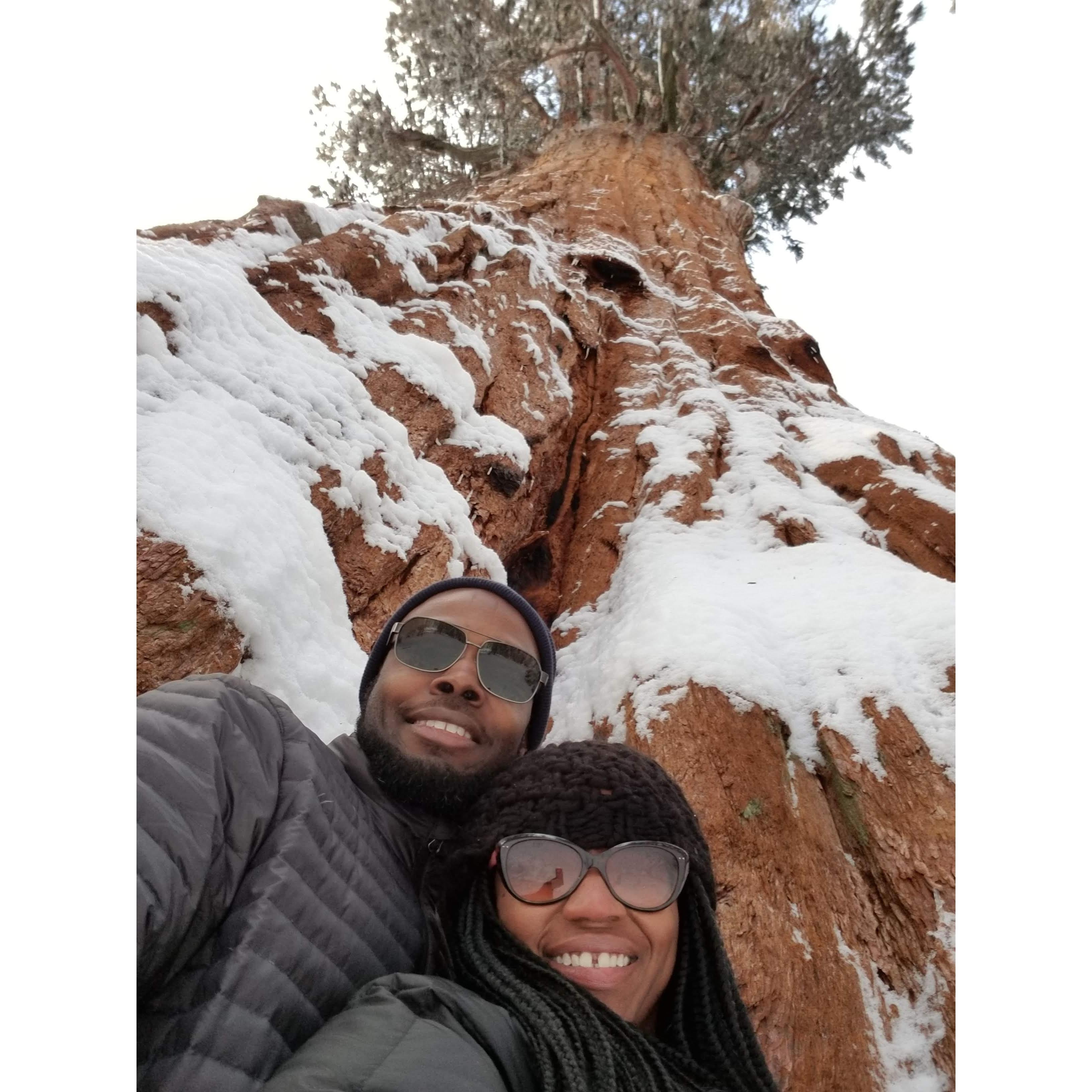 Sequoia National Forest