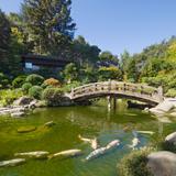 Hakone Estate and Gardens