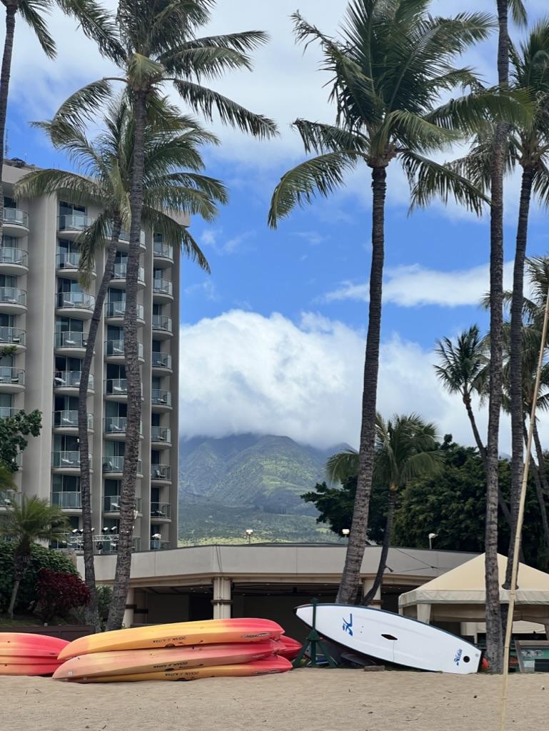 The Wedding Website of Ana Gentle and Nick Ostrom