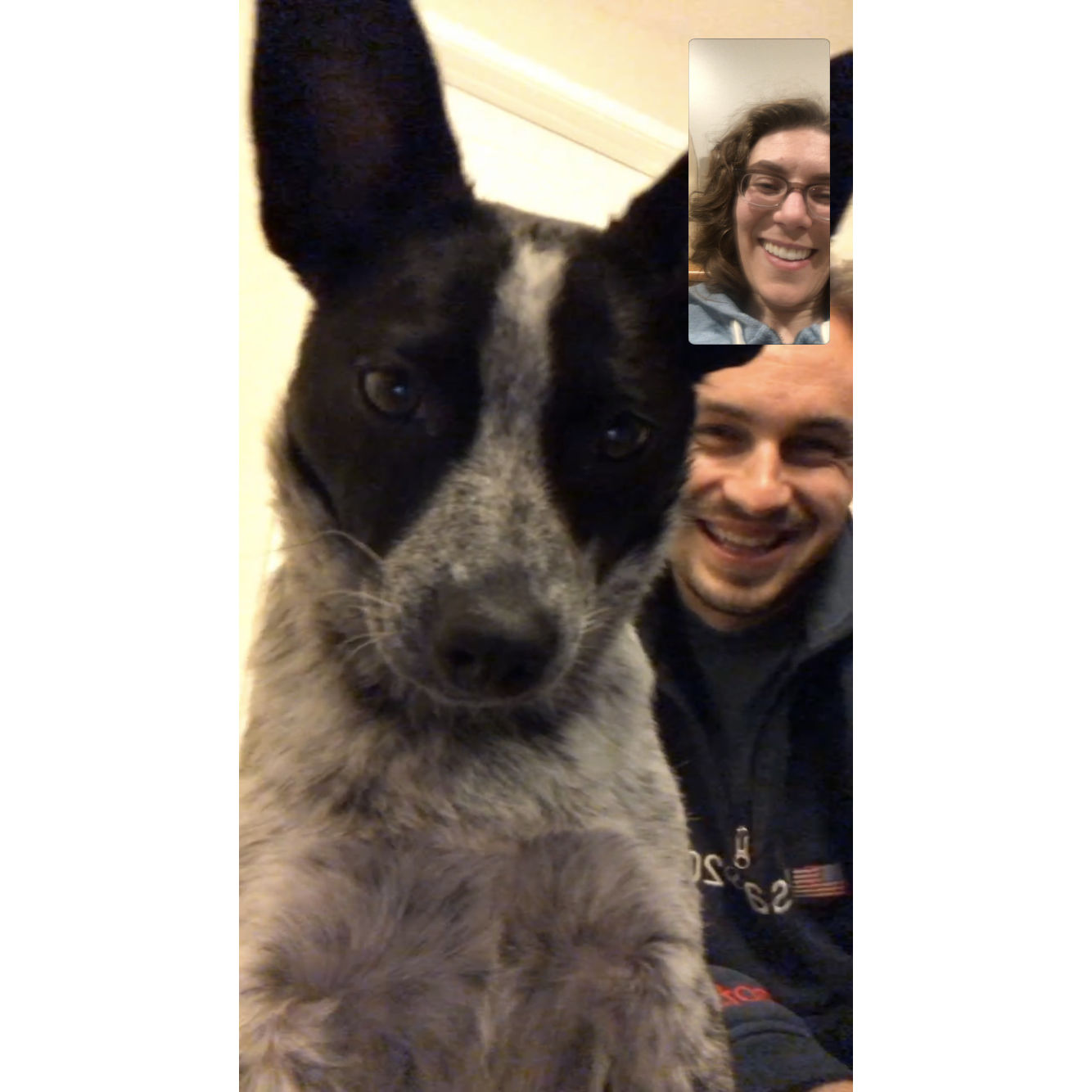 Facetime interruption from the cutest photobomber.