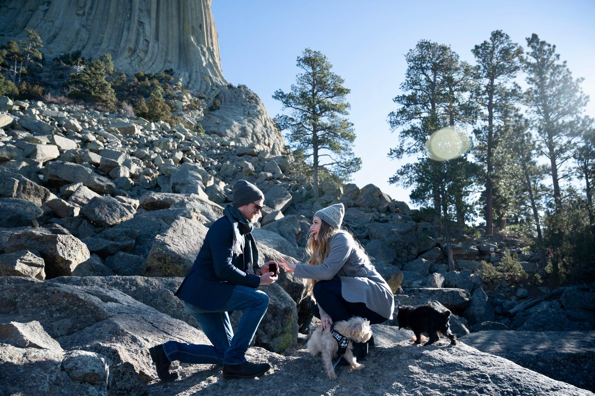 SURPRISE! Proposal - 2020