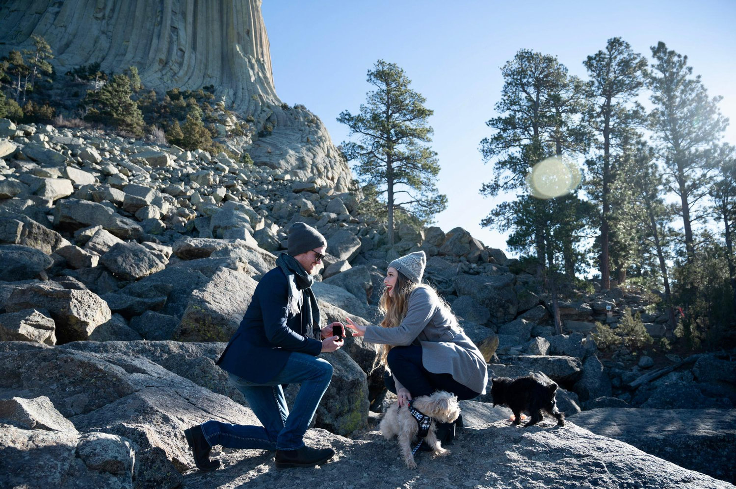 SURPRISE! Proposal - 2020