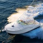 Sport Fishing or Boating Excurisons