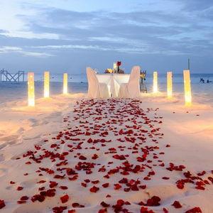 Romantic Beach Dinner