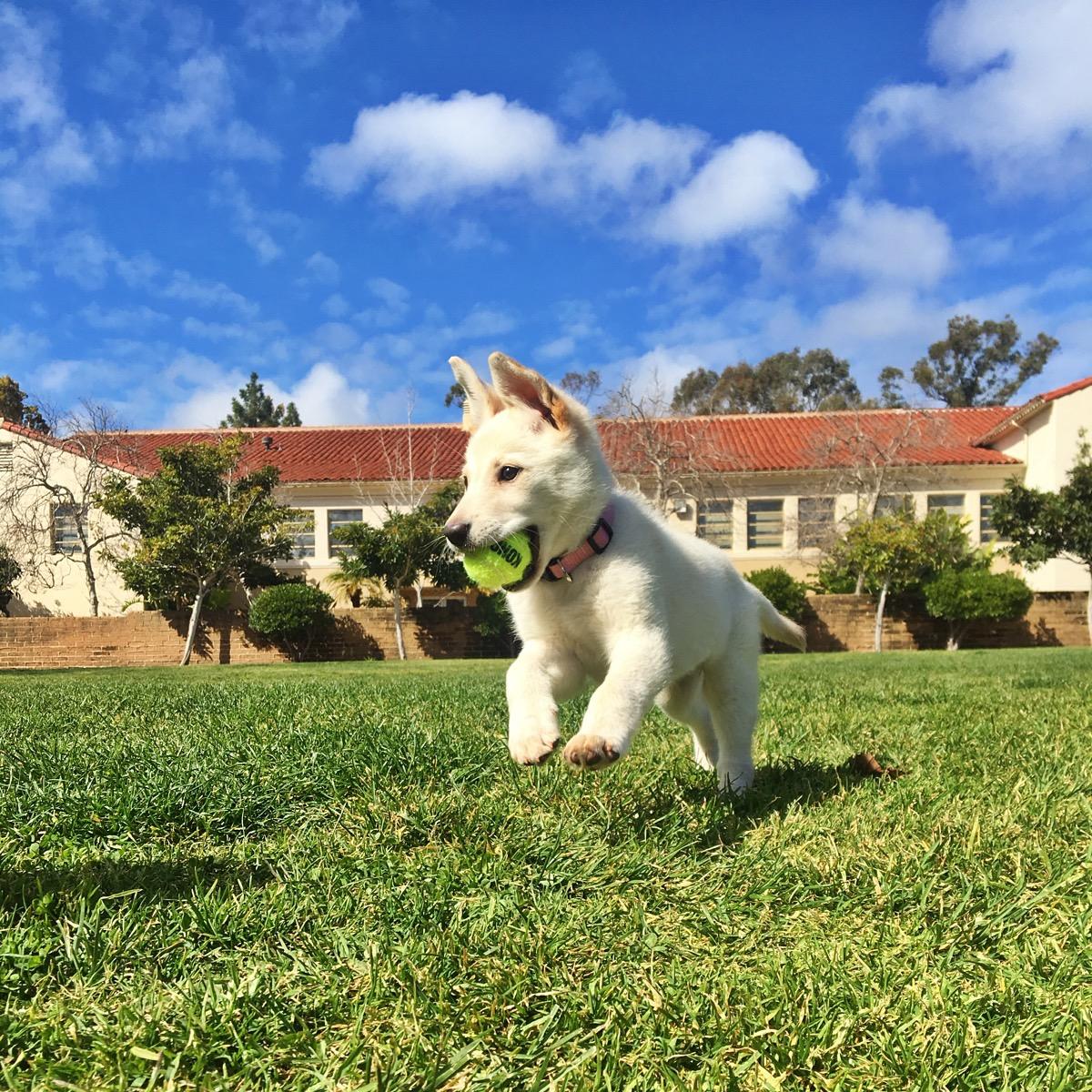 The Wedding Website of Sarah Thomas and Jason Jenichen