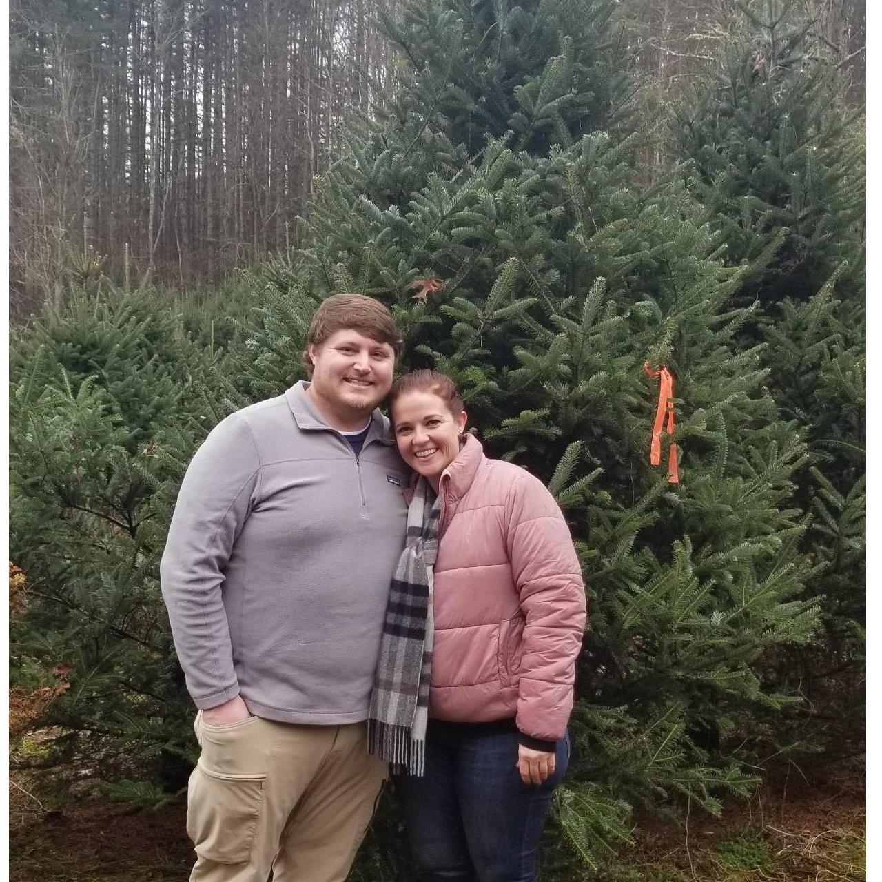 Christmas tree cutting
December 2019