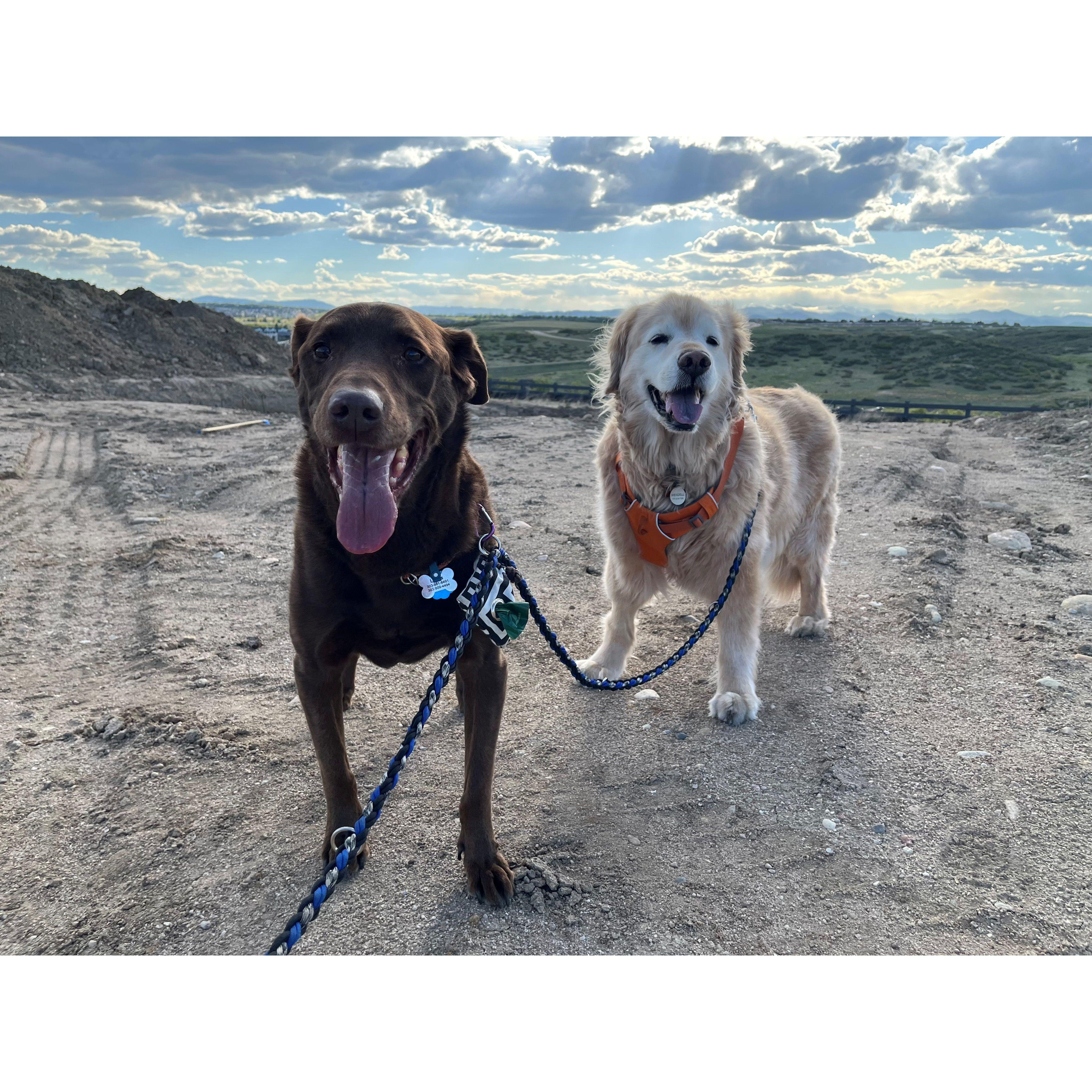 Our "Boys"