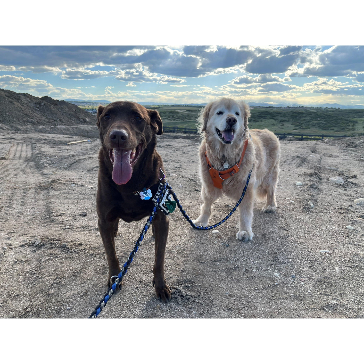 Our "Boys"