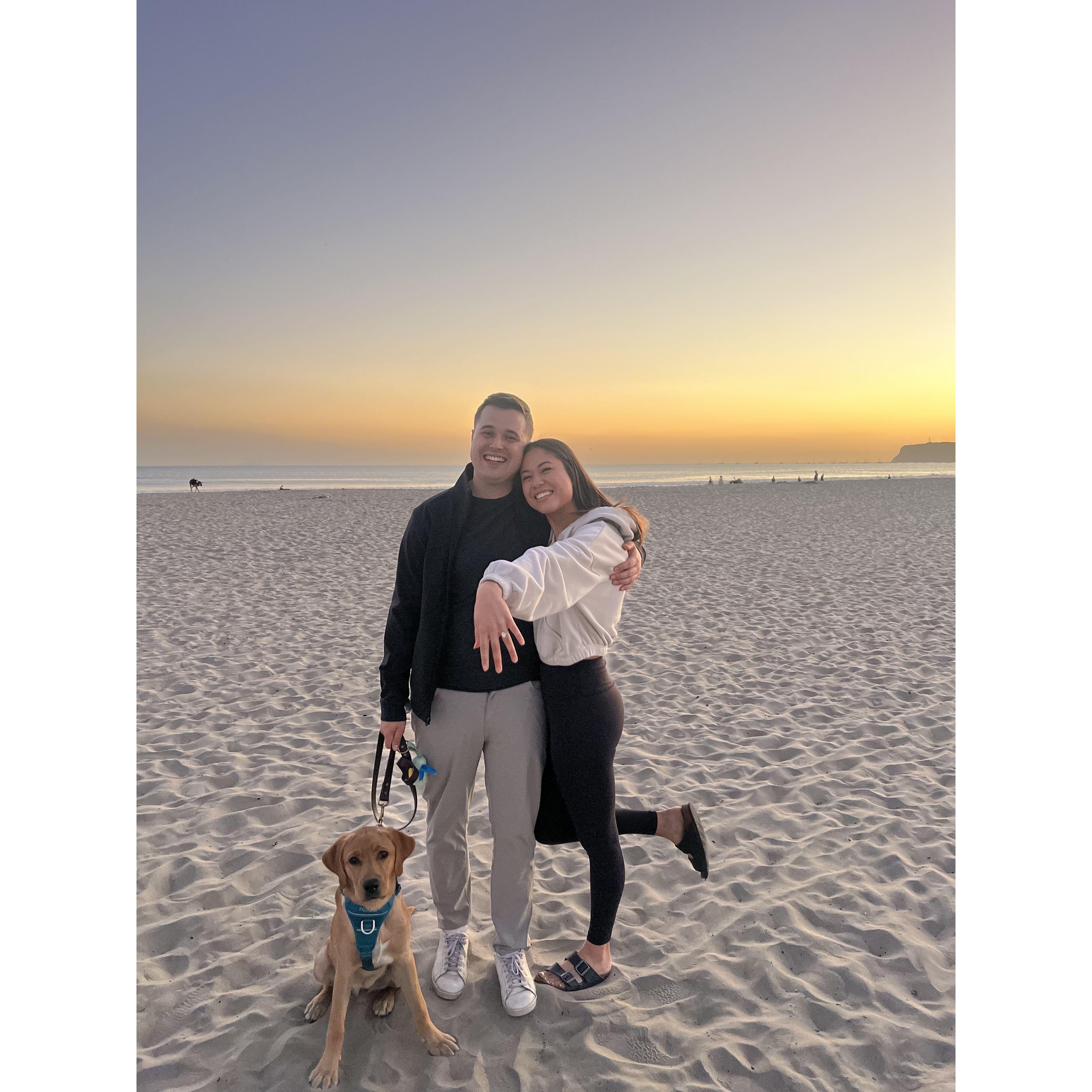 Right after Will proposed - Jurgey finally stopped eating the sand for a picture.