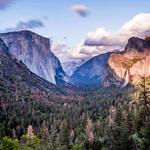 Yosemite National Park