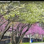 McCarren Park