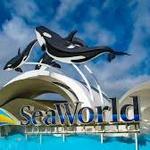 SeaWorld San Diego