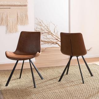 Terra Mid-Century Modern Dining Chair, Set of 2