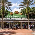 Audubon Zoo
