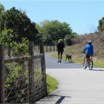 Upper Tampa Bay Trail