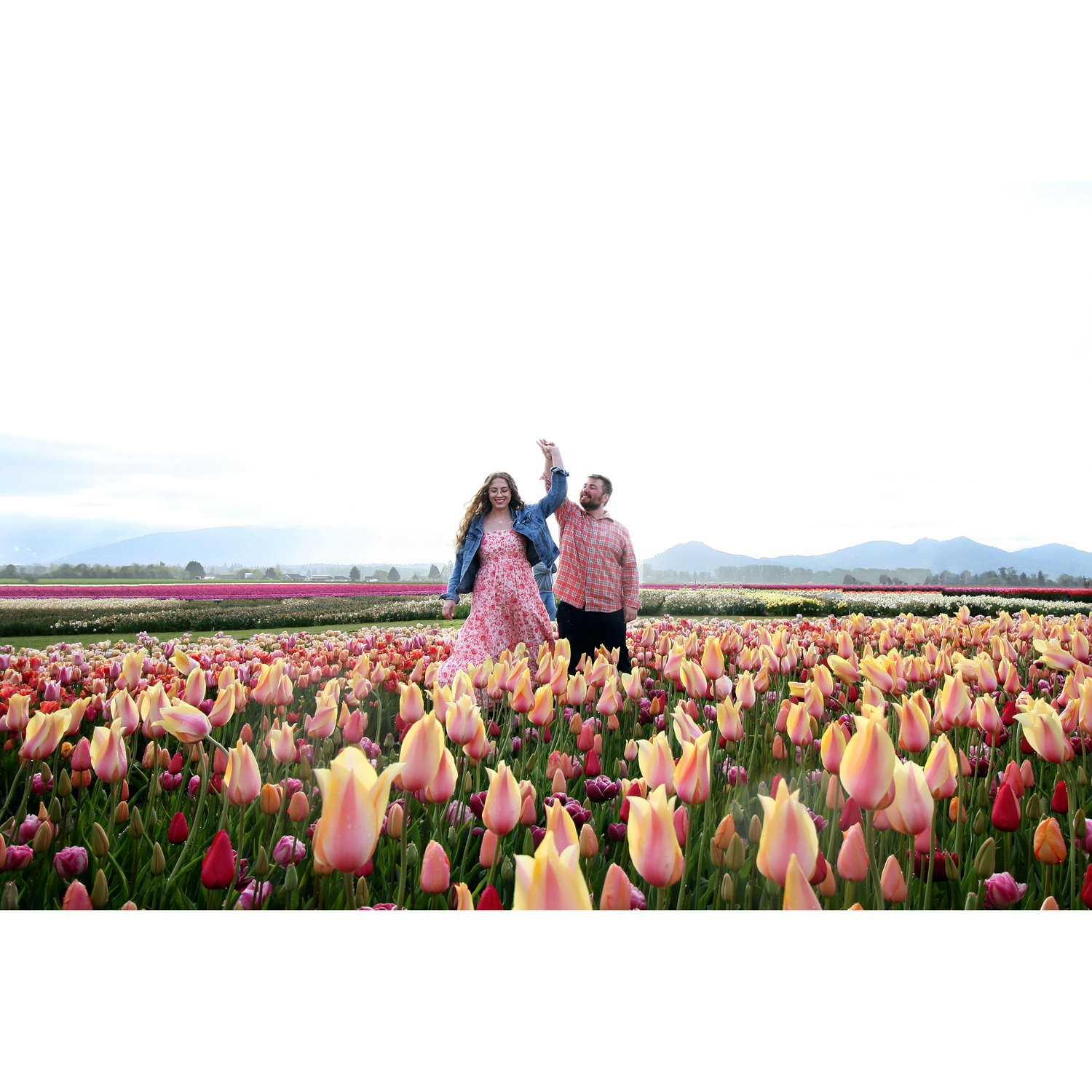 Skagit Valley Tulip Festival