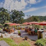 Tablas Creek Vineyard