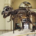 Field Museum