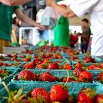 Farmers Market of the Ozarks ($)