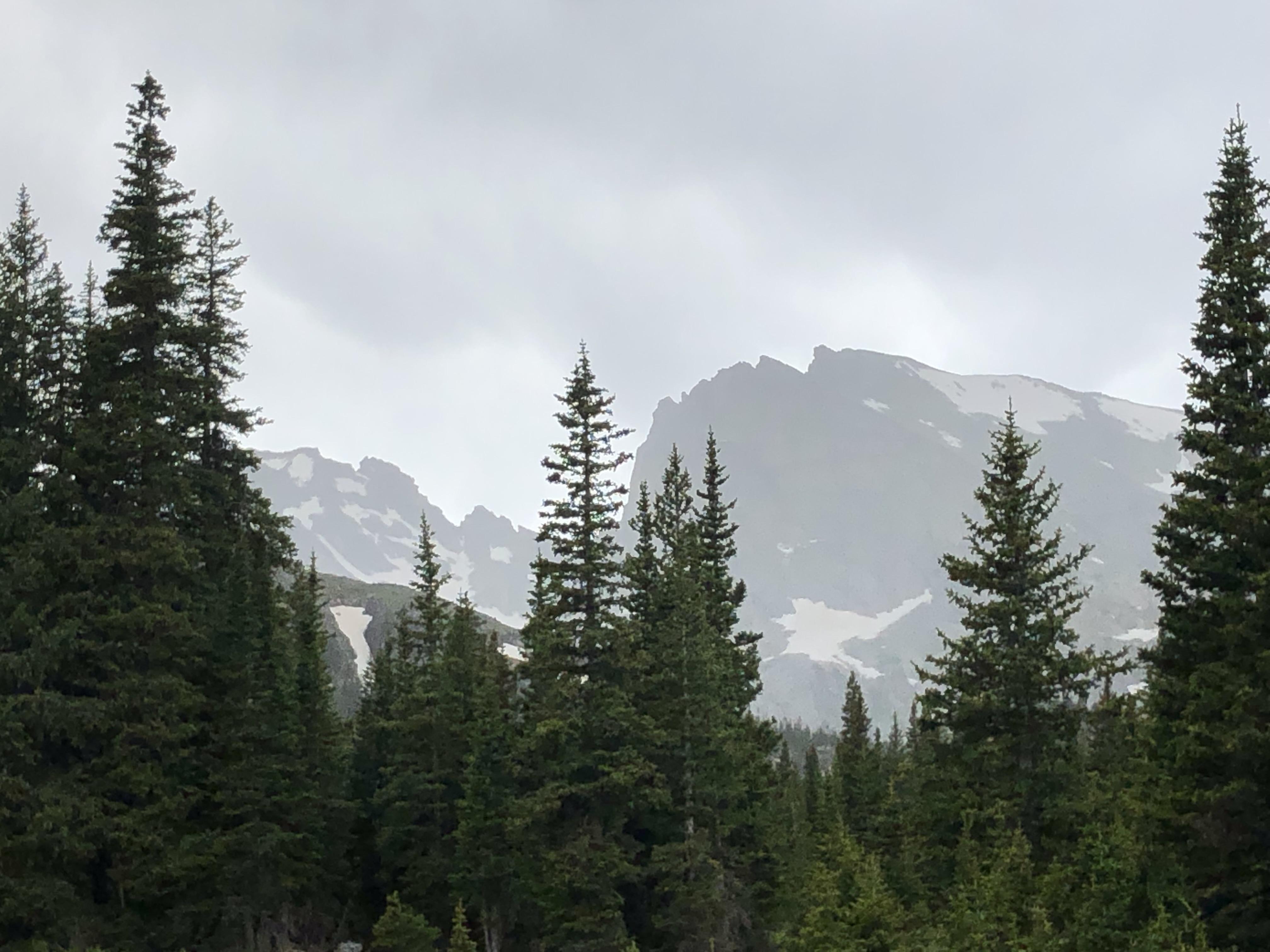 The Wedding Website of Courtney Vay and Osho Levin