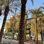 Fun Things To Do ♡