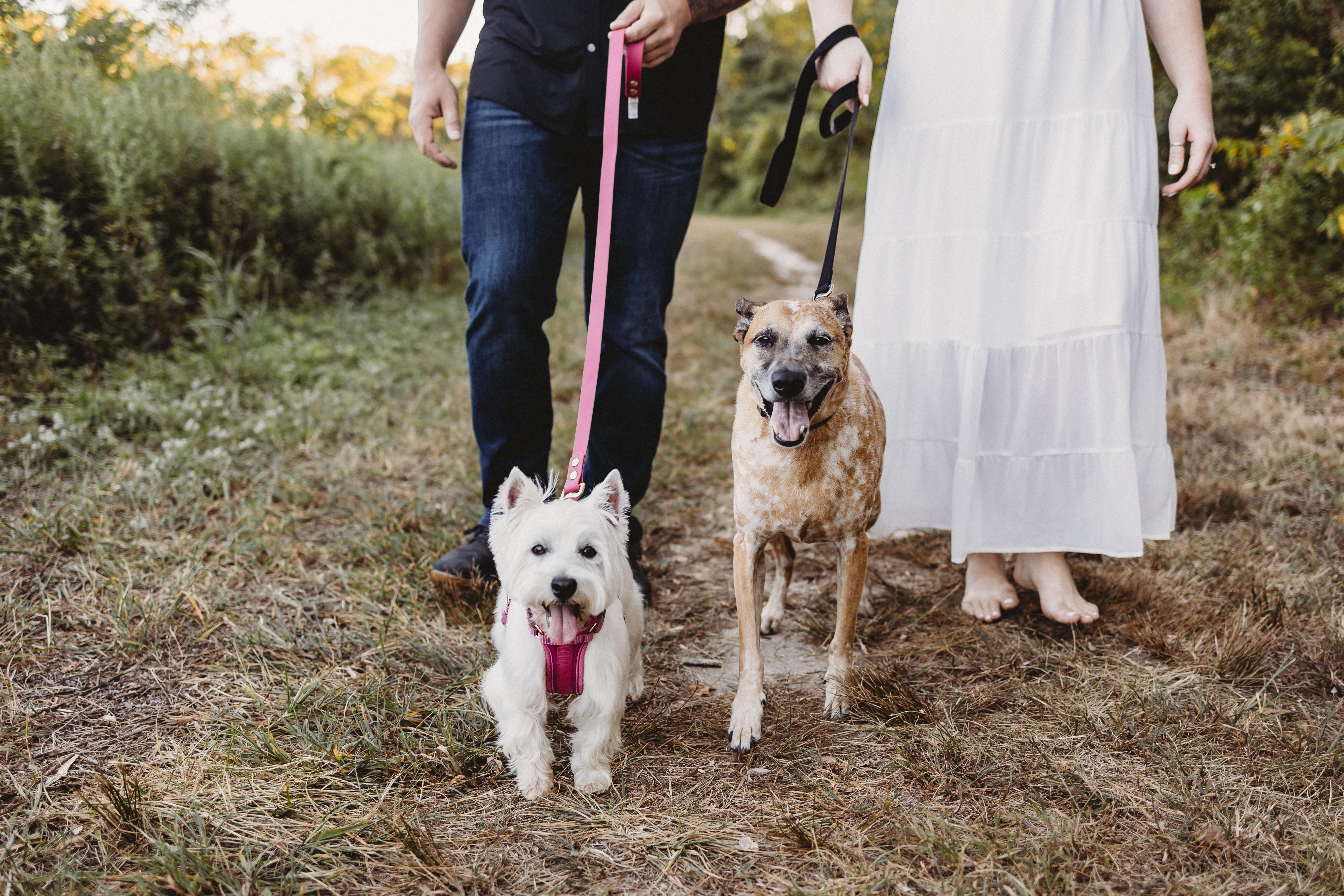 The Wedding Website of Gabrielle Spencer and Anthony Abbate