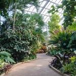 Daniel Stowe Botanical Garden
