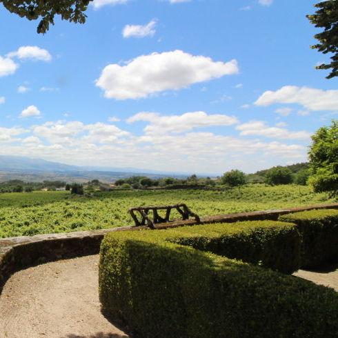 A quinta tem lugares encantadores para explorar, como vistas deslumbrantes e cantinhos especiais, tudo próximo à casa principal. Haverá uma pequena caminhada até o local da cerimônia.